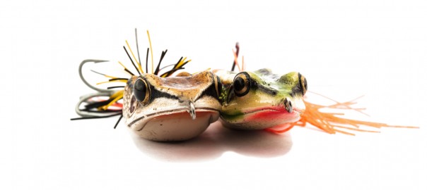 Link Bait - What is link bait, how do I make my content go viral?