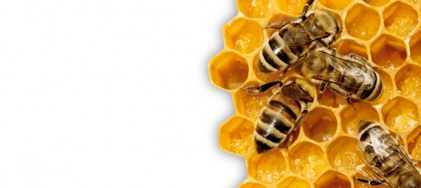Content Marketing - the buzz word explained