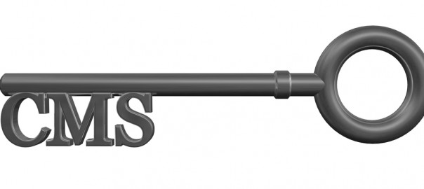 Upload content to your CMS for big SEO benefits