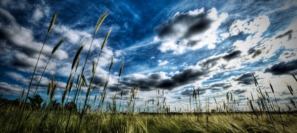 Digital Share Cropping Explained