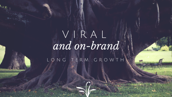viral content that is also "on brand" is the shortcut to long term growth