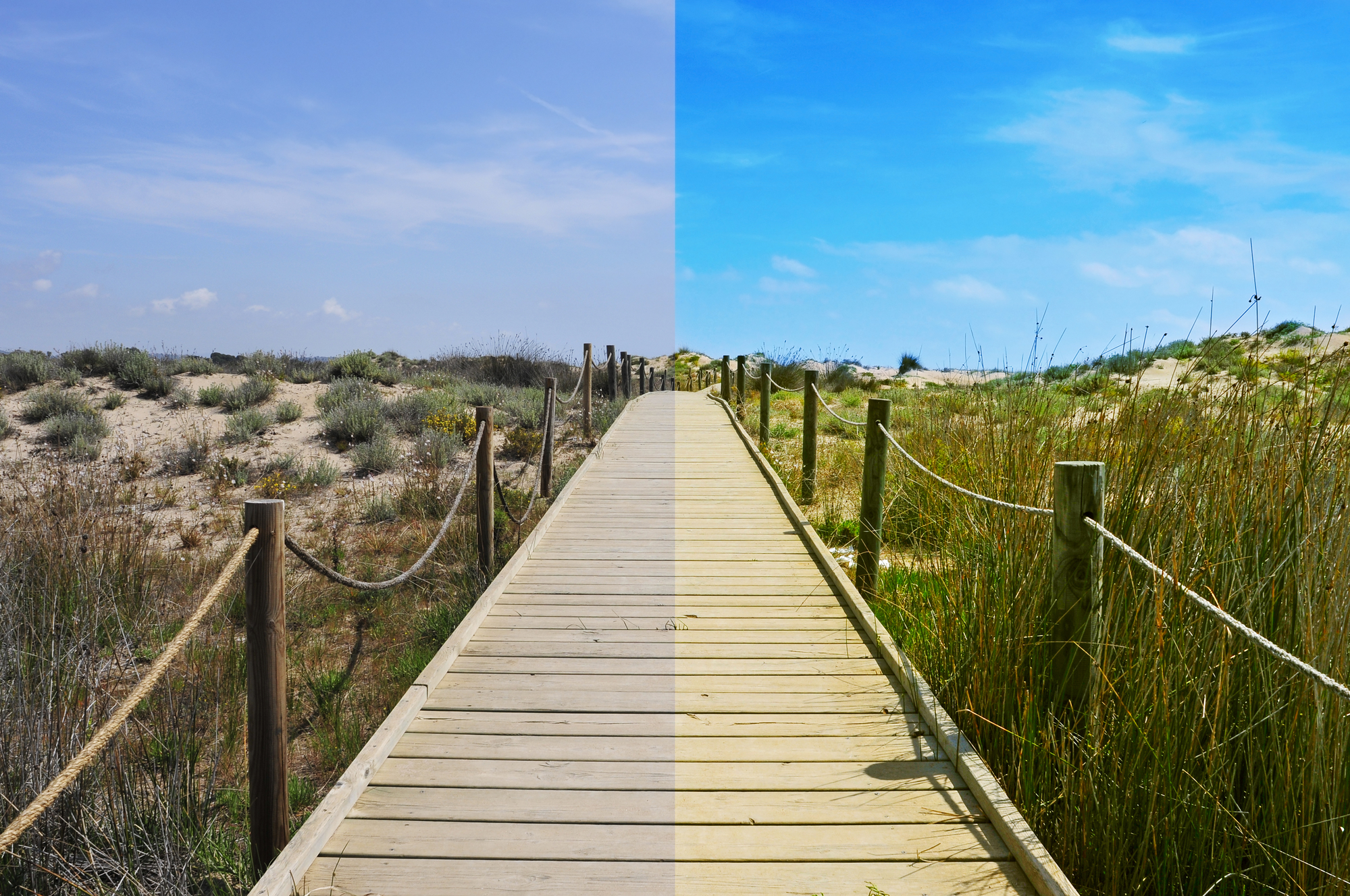 Free Image Editing Software for Numpties