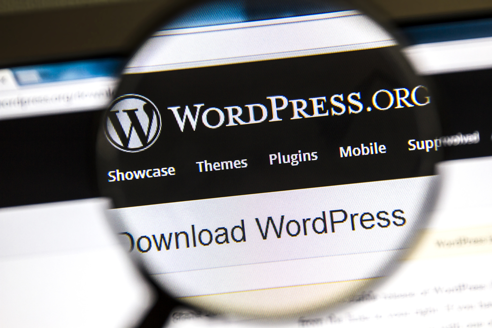 WordPress for small business